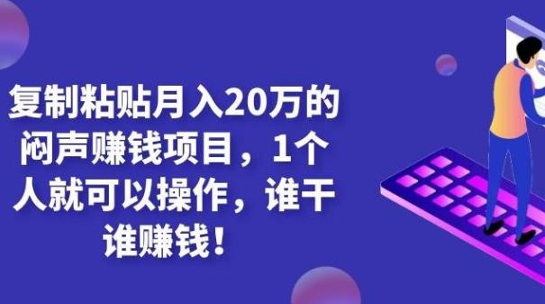 内容保密的复制粘贴月入20万闷声赚钱项目