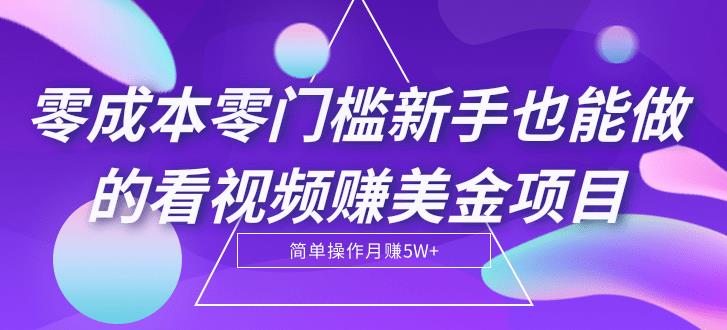 【副业2226期】看视频赚美金项目【视频教程】