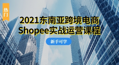 【副业2401期】2021东南亚跨境电商Shopee-超值的实战运营视频课程