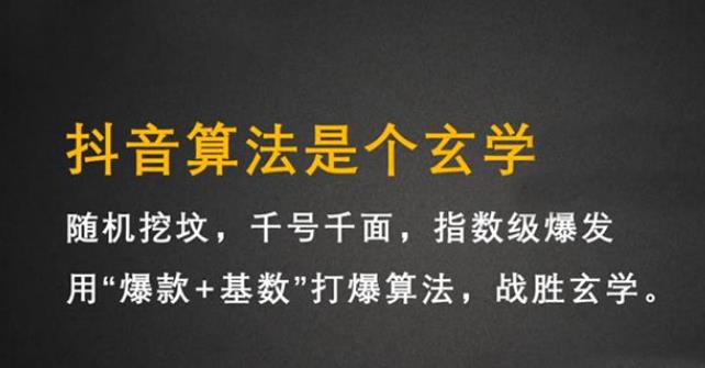 简单高效教你玩转：抖音短视频带货（实战视频）