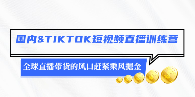 抖音&TIKTOK短视频直播训练营，玩转全球直播带货