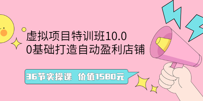 虚拟项目怎么赚钱：0基础打造自动盈利虚拟资源项目， 价值1580