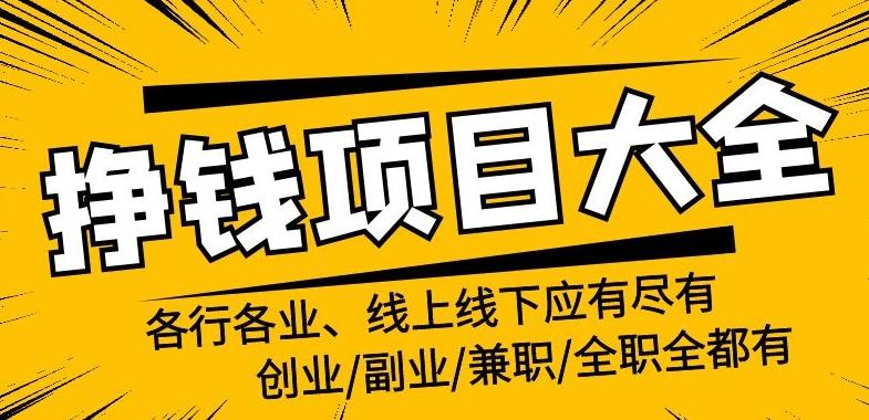 适合新手的副业：普通人年入百万的39个副业项目（视频教程）