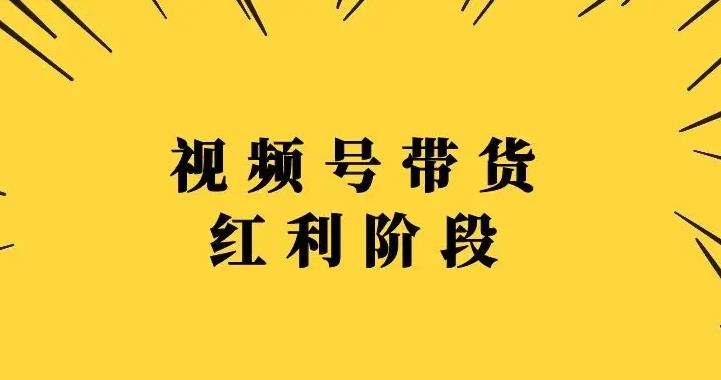 视频号带货赚钱吗：盗坤-视频号带货训练营，复制搬运赚钱（附电商公园文件）