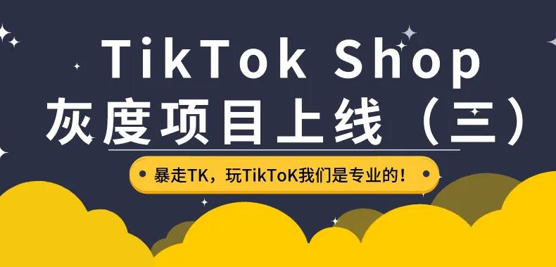 跨境电商怎么开店铺：TikTok Shop出海训练营，抢占新流量，一店卖全球