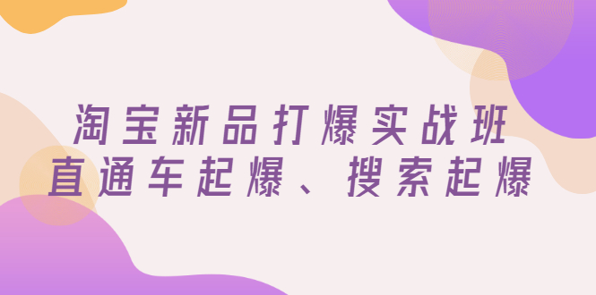 淘宝新品怎么推广效果最好：淘宝新品直通车起爆、搜索起爆（价值599元）