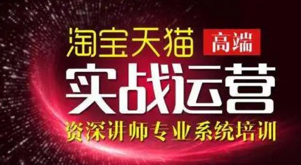 【副业3446期】淘宝电商运营：电子商务实战特训营，308种方式玩转淘宝电商运营