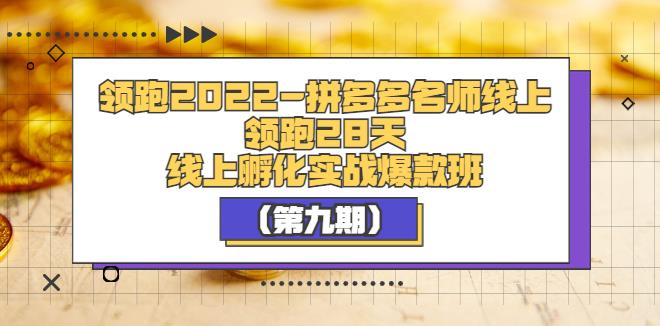 拼多多怎么开店：领跑2022-拼多多名师线上领跑28天（第九期）