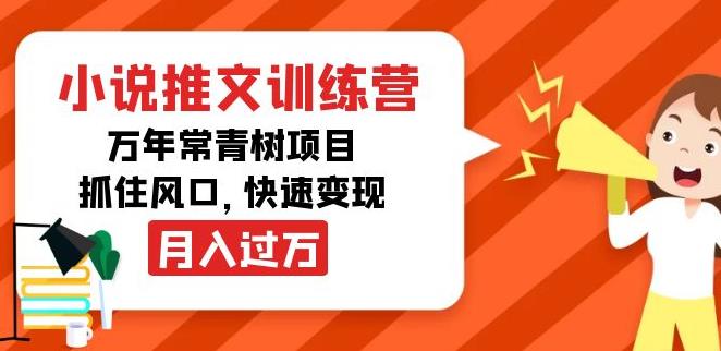 抖音小说推广怎么赚钱：月入过万副业项目，小说推文训练营