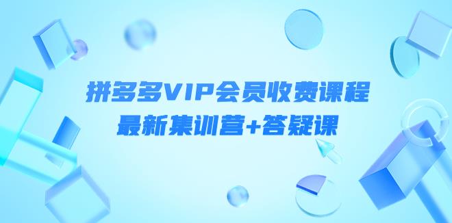 【副业3901】如何用拼多多赚钱：拼多多VIP会员最新集训营+答疑课-价值3299元