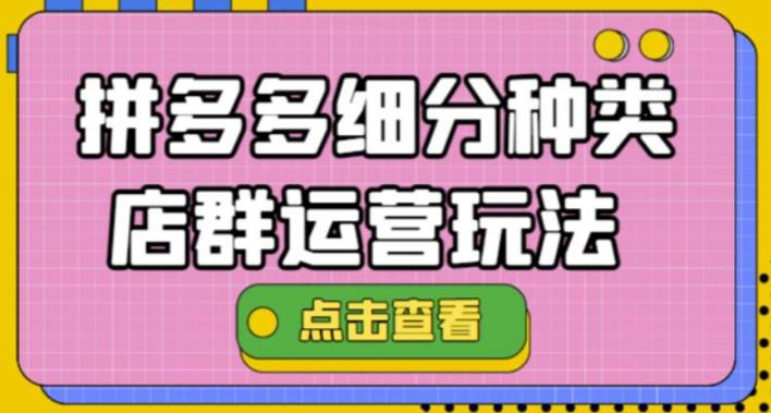 拼多多店群11月最新玩法：拼多多细分种类店群运营玩法3.0